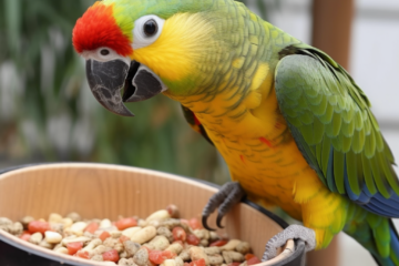 Best Parrot Food: Key Features, Feeding Guidelines & Buying Guide